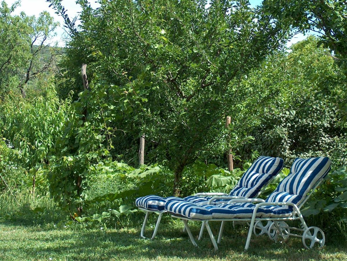 Rózsilak Vila Balatonfüred Quarto foto